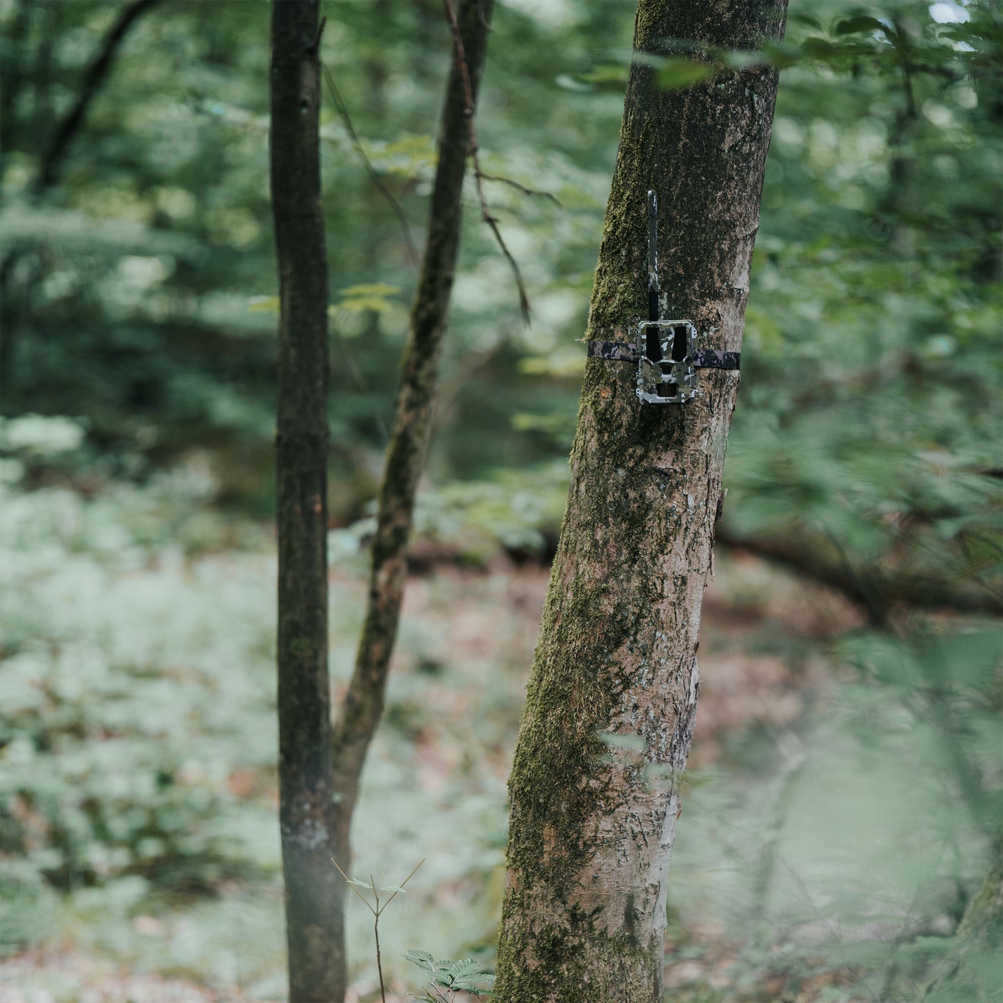 MODERNHUNTER Hunter 4G Mini LTE-SIM cámara de fototrampeo, campo de visión de 60°, IR 940 nm